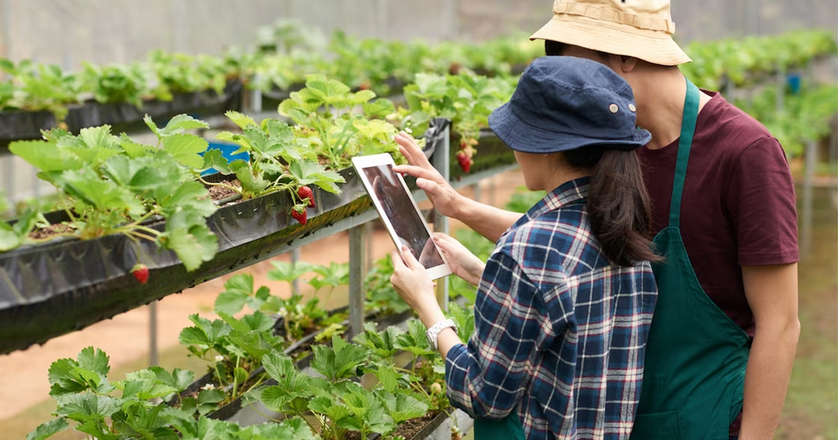 Current status of digital transformation in agriculture