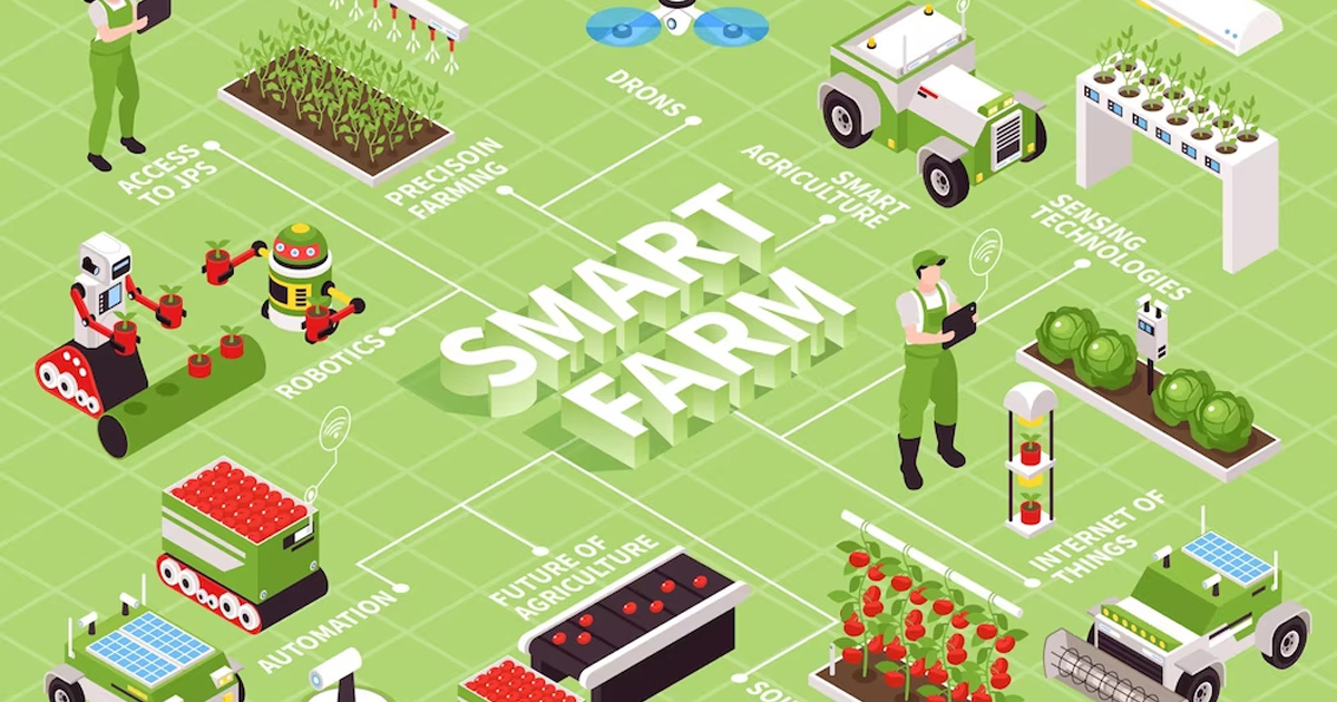 Digital transformation solutions in agriculture